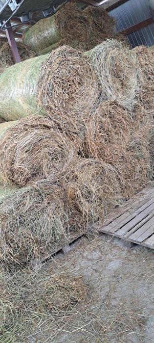 Baloti lucernă rotunzi