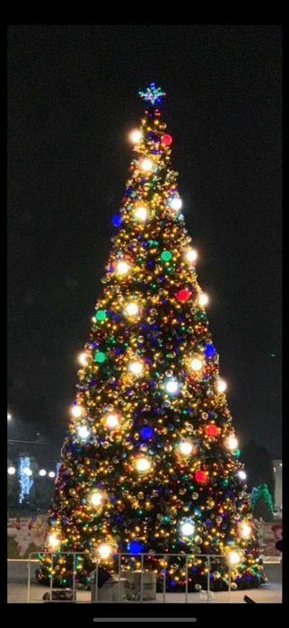 Новогодный ёлки болшие президентский! и Украшене! Елка, Katta Archa!