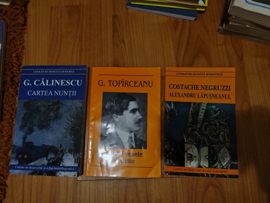 Colecție de 3 cărți esențiale pentru studiul literaturii române