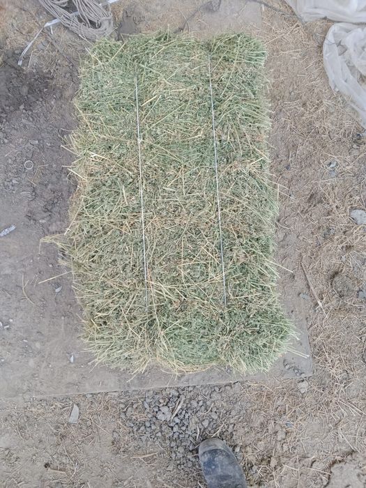 2100 тг  Прес шоп  жонышка