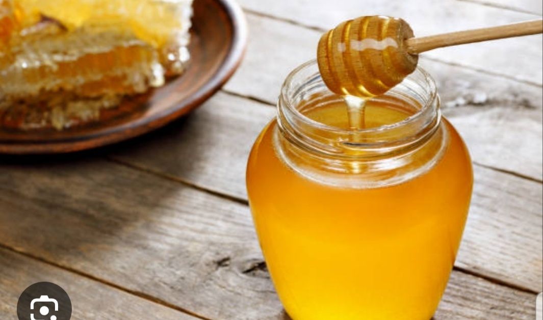 Продам свежий мёд оптом.