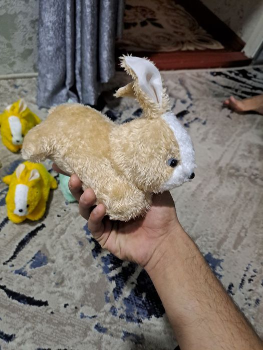 Yushoq Uyinchoqlar aparatga