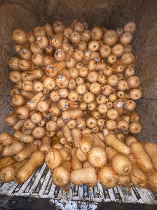 Vand dovleci placintari