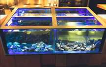 ИЗГОТОВЛЕНИЕ торговых аквариумов и витрин для морепродуктов AQUA STORE