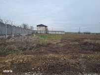 Vânzare Teren Intravilan 950 Mp Cernica-Tânganu