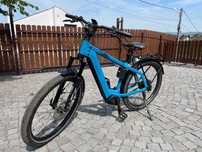 Bicicleta Riese Muller