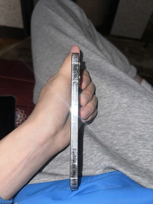 12 про все работает