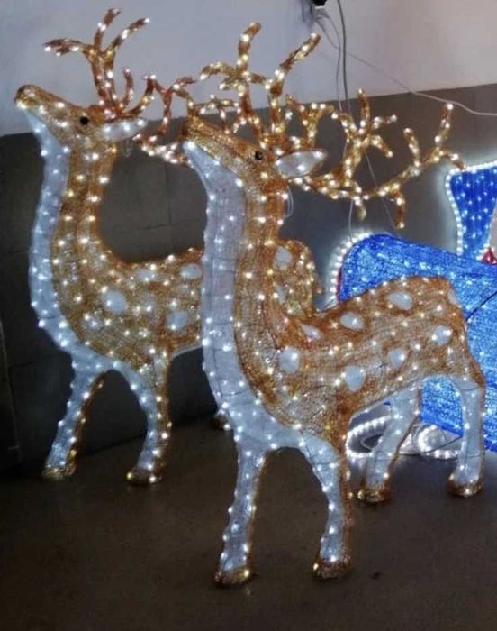 Sanie mare luminoasa cu 2 reni