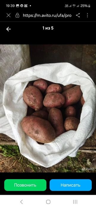 Картофель ДОМАШНИЙ продам