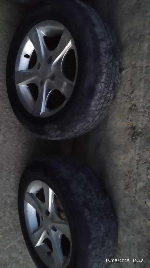 Shapaloq 14 saka disk balon sotiladi
