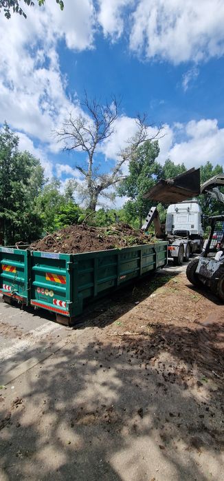 Miniexcavator de inchiriat