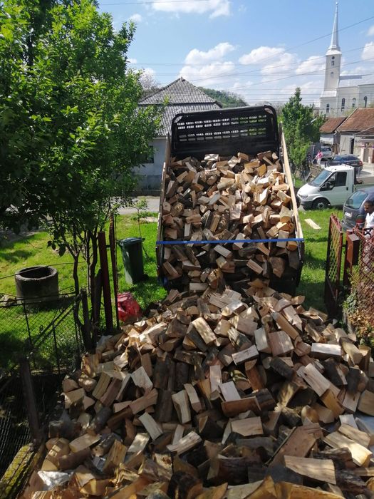 lemne de foc fag la boci