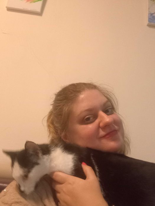 Подарявам котарак