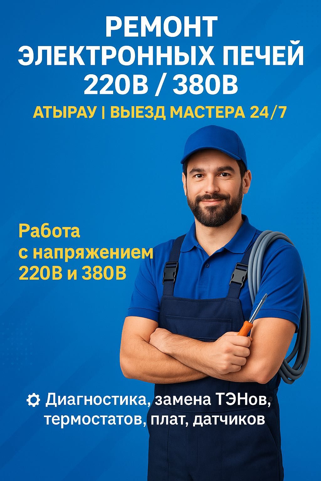 Ремонт профессиональных печей духовок для ресторанов. кафе и столовой