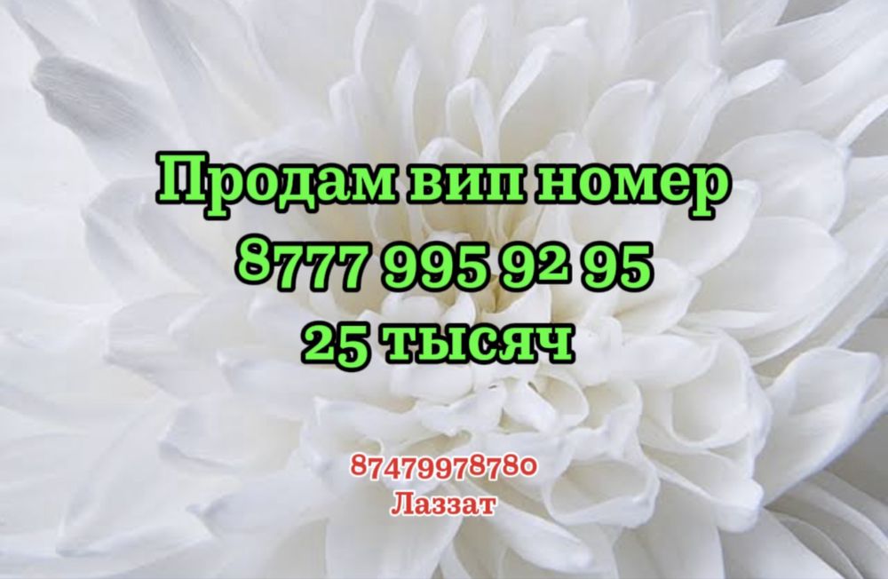 Вип номер сатамын. Хабарласыңыздар