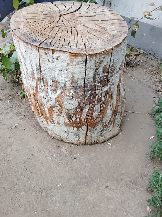 Продам колоду для рубки мяса