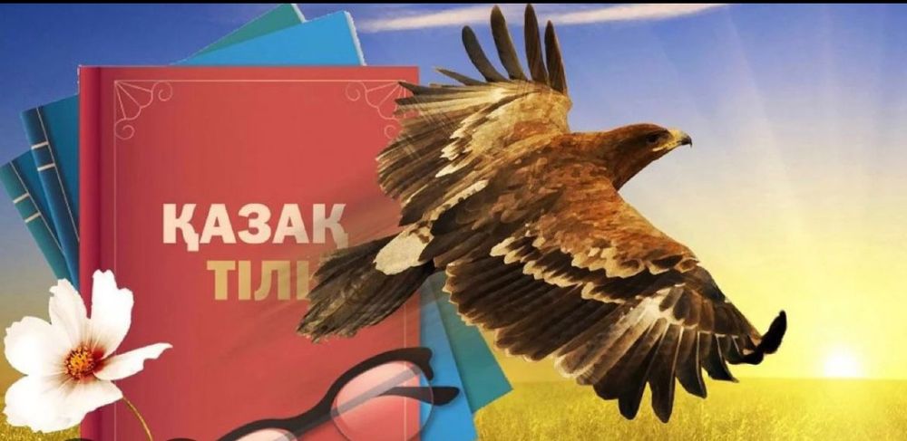 Перевод , английский , казахский языки.