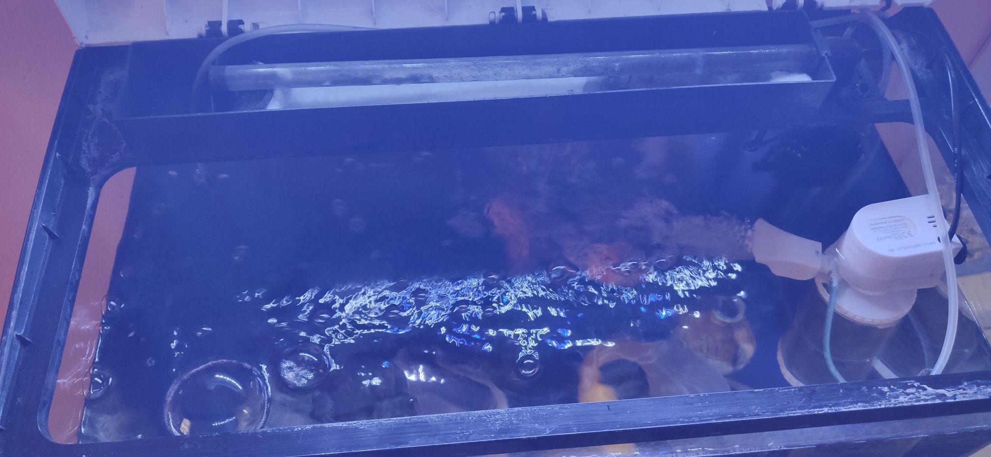 Продам аквариум с рыбками и аксессуарами