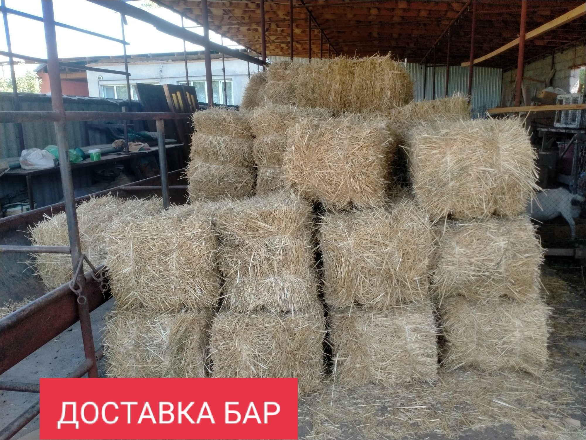 Сабан Салома бидай сабан пресс