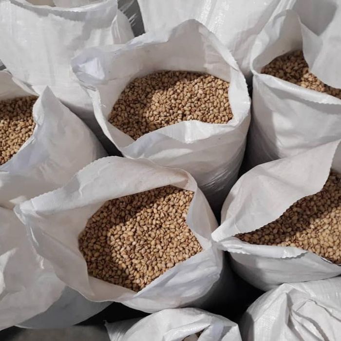 Орехови и други ядки