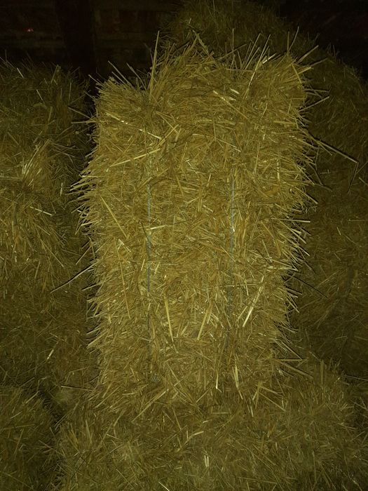Baloți de paie..