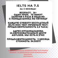 IELTS/Репетитор/Англиский язык