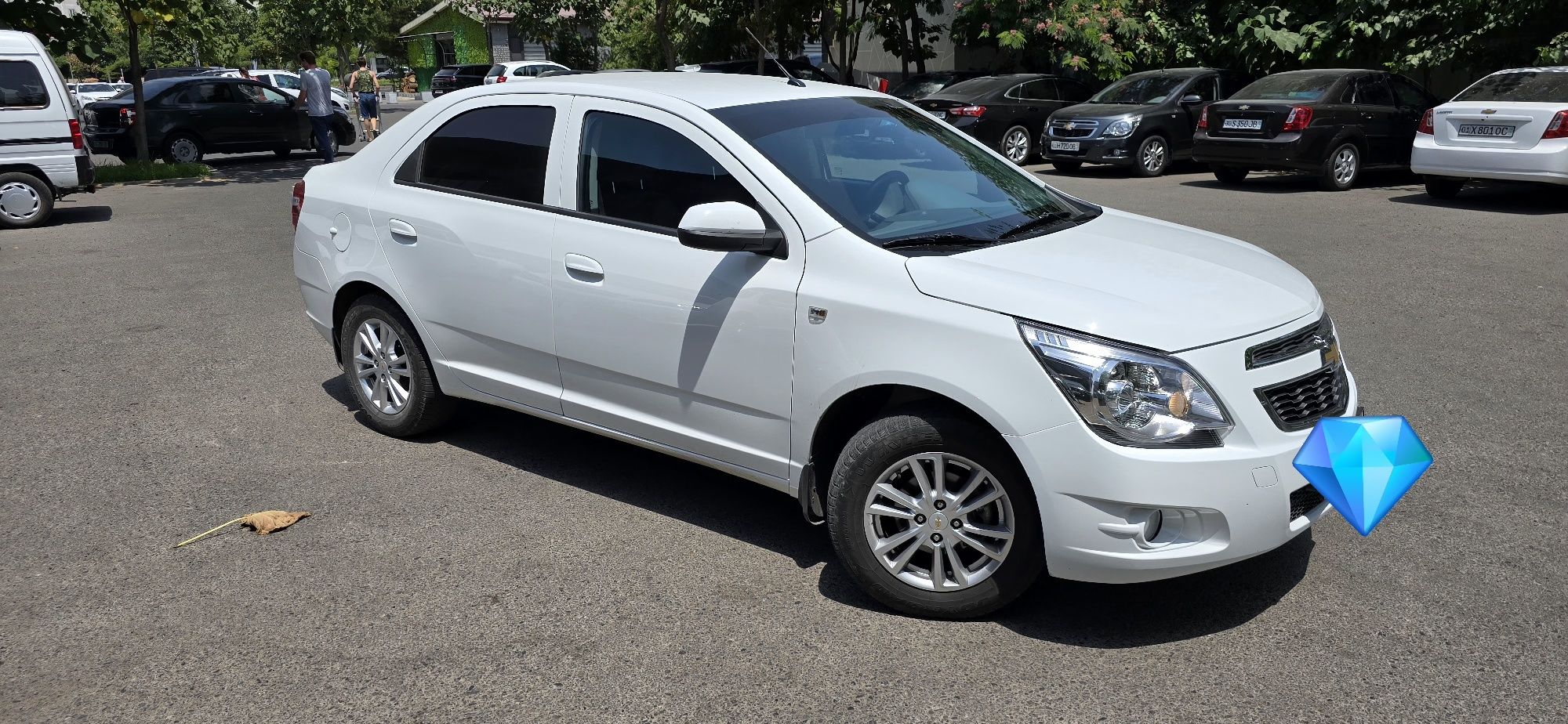 Cobalt LTZ 4 Poziciya