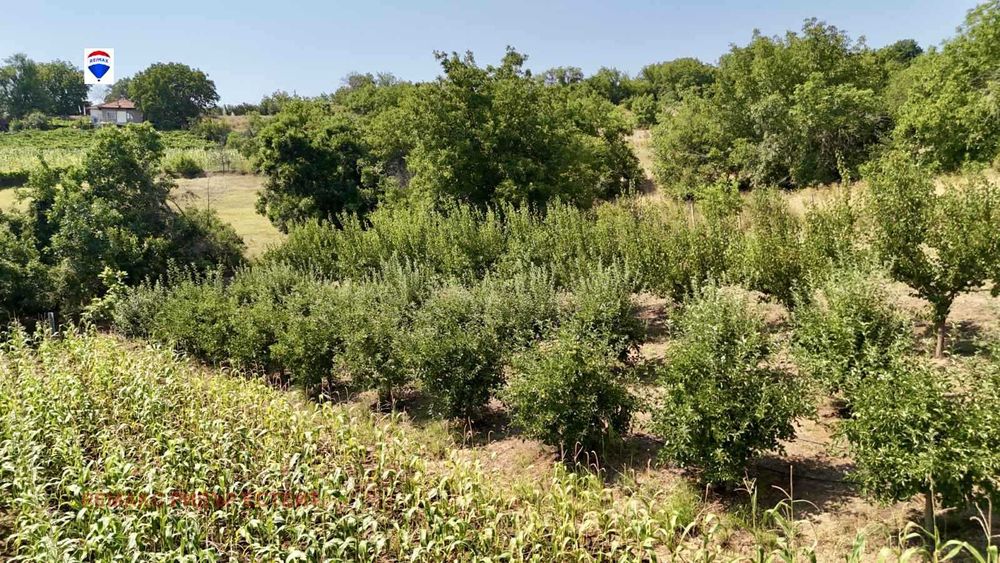 Парцел за продажба в с. Мечка, обл. Русе