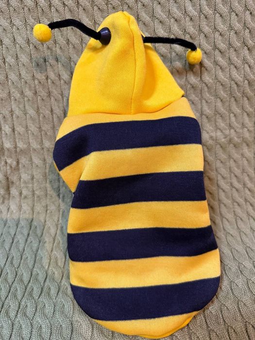 Одежда для маленького питомца