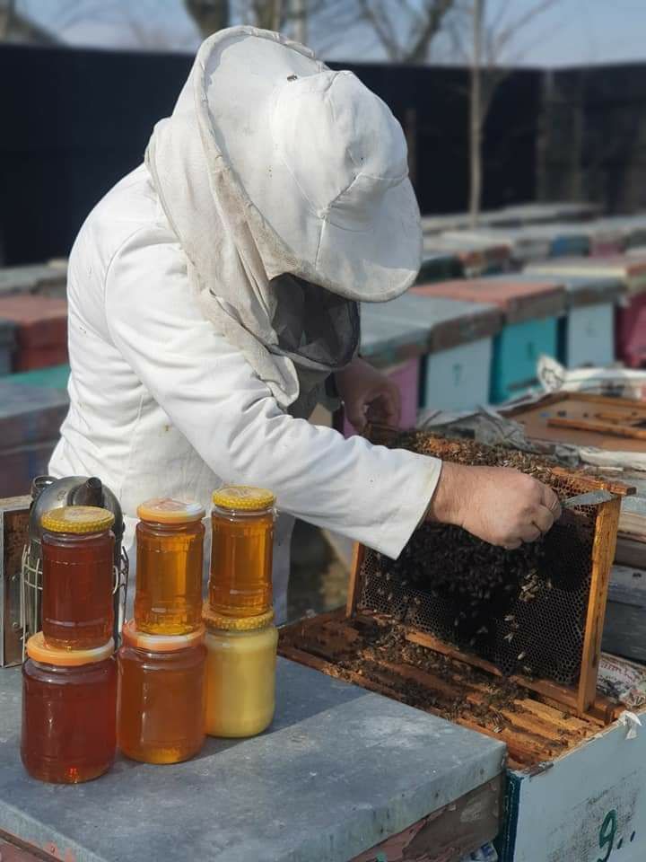 Miere polifloră  100% naturală și familii de albine
