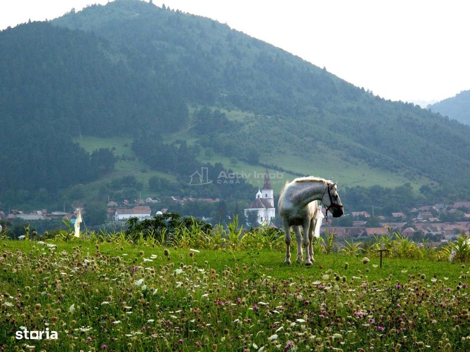Teren generos, ideal căsuțe A-frame sau casă de vacan&#