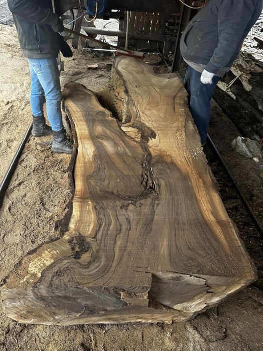 Cherestea nuc si plop