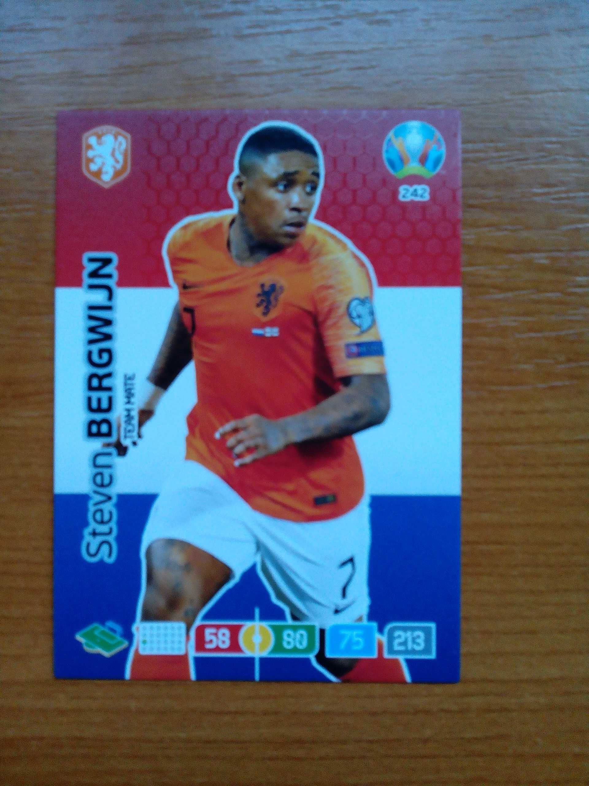 Карти на Панини/Panini Adrenalyn XL UEFA Euro 2020 Preview