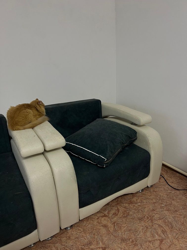 Комплект разкладных диванов [+5подушек]