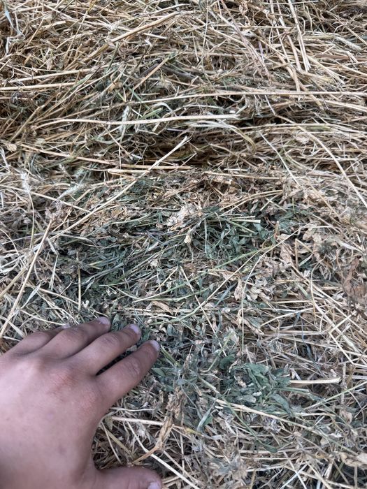 Vand baloti de lucerna