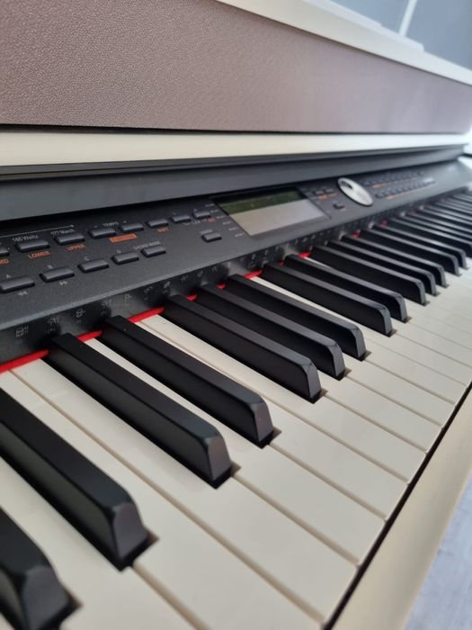 Meditatii Pian pentru toate varsteke