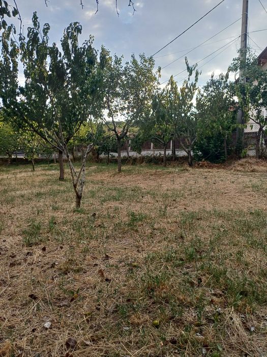 Teren intravilan de vânzare.