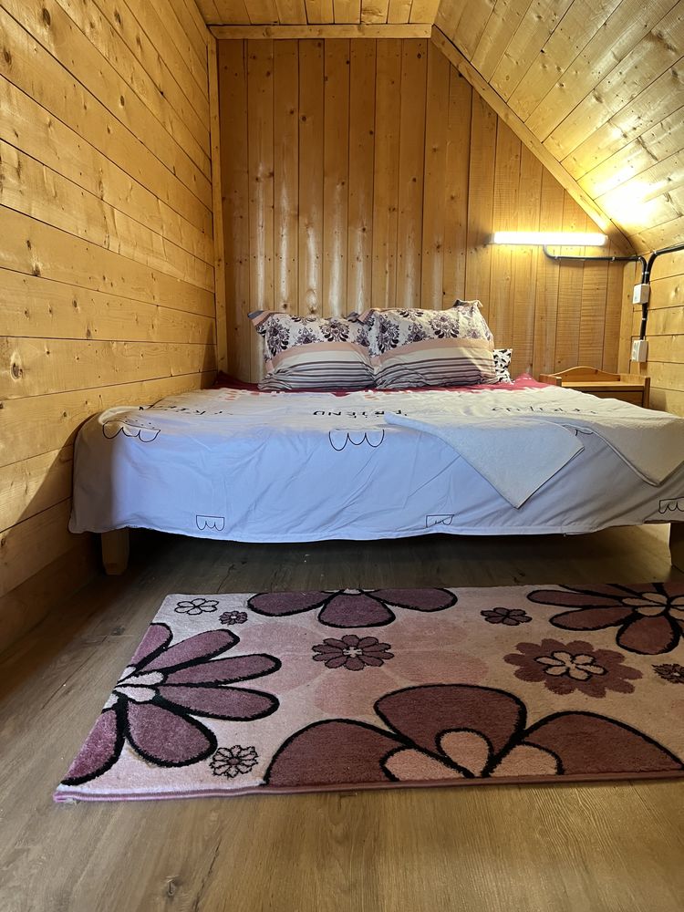 Cabana de vanzare sau inchiriat Baisoara
