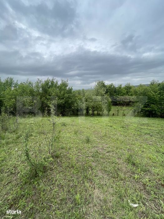 Teren extravilan 5200 mp – Budacul de Jos-  Investitie excelenta!