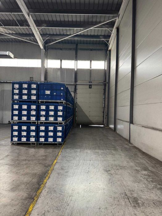 Inchiriere spatiu depozitare Oradea