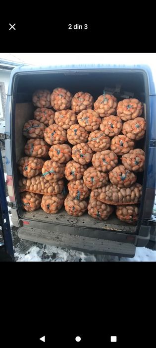 De vânzare cartofii de consum albi și roșii