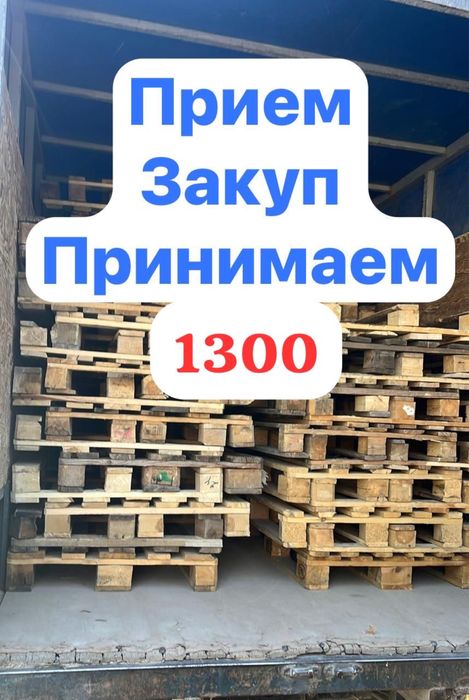 Закуп поддон кабылдаймыз