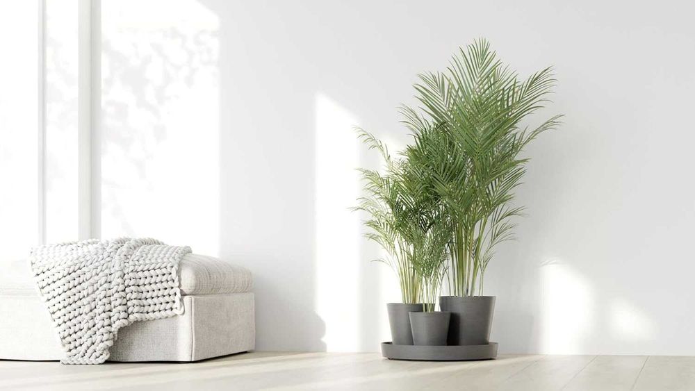 Комплект самополиващи саксии Ecopots Dubai 3 броя и подложка с колелца