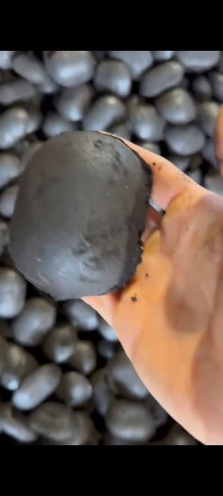 Carbuni tip oua lignit