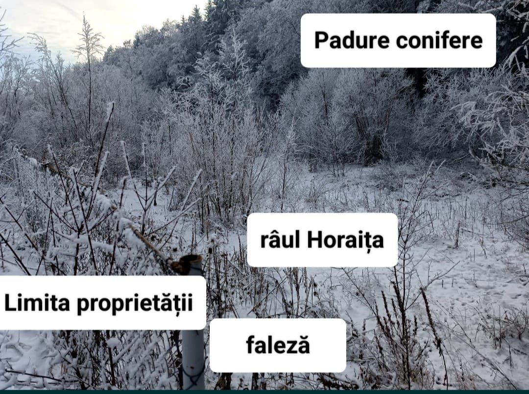 Lac cu pește, heleșteu, râu, peisaj de basm