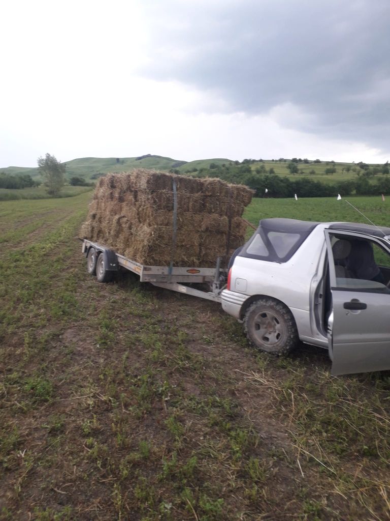 Vând baloti de lucernă și otavă