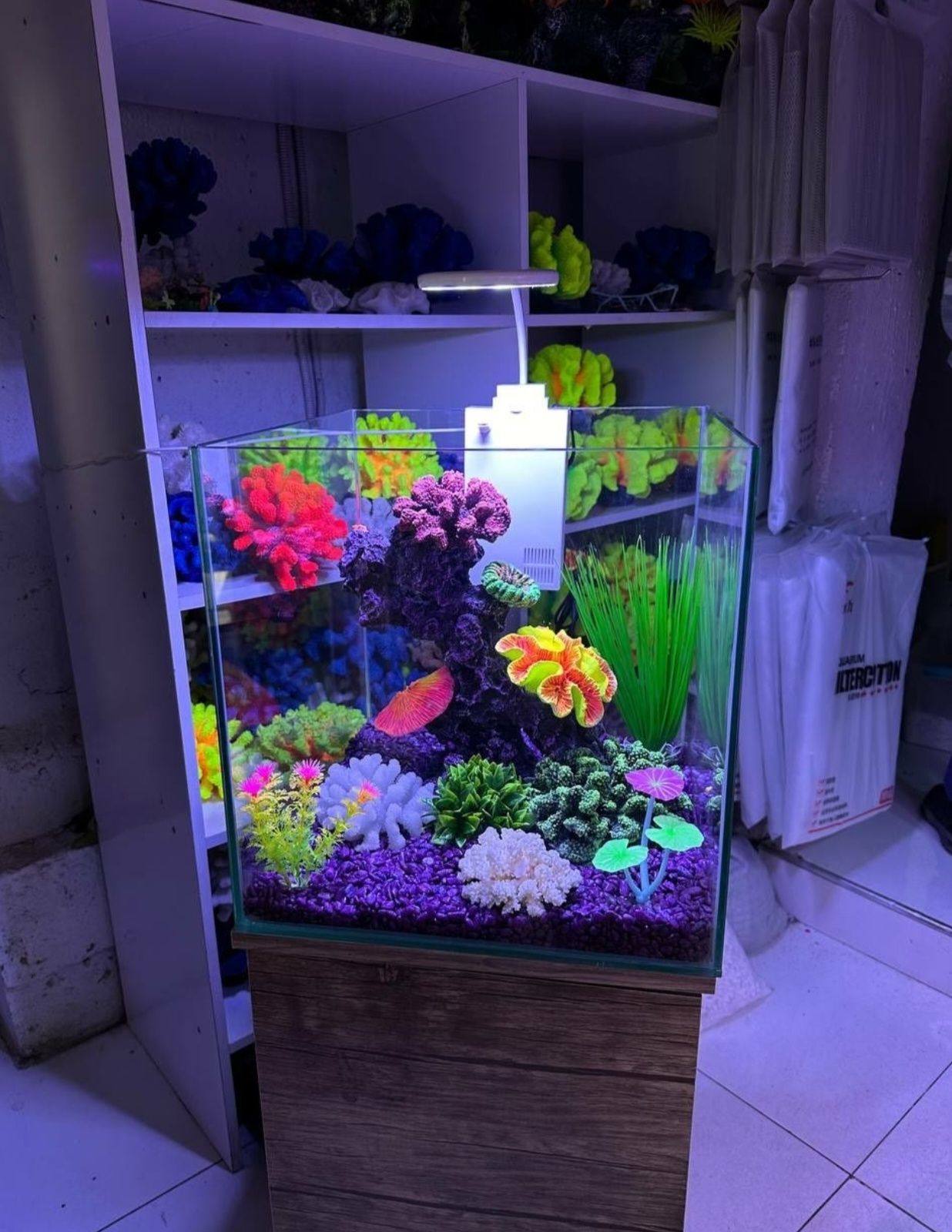 Akvarium va dekaratsyalar sotiladi