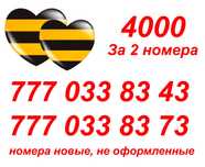 Номера Билайн и Актив. Красивая пара