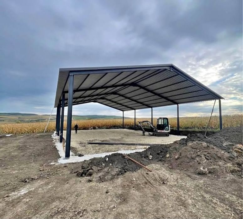 Vand sopron pe structura metalica 10x20x5