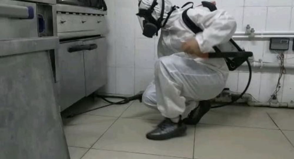 Дезинфекция кв травим тараканы муравьи клопы комары мухи мыши блохи